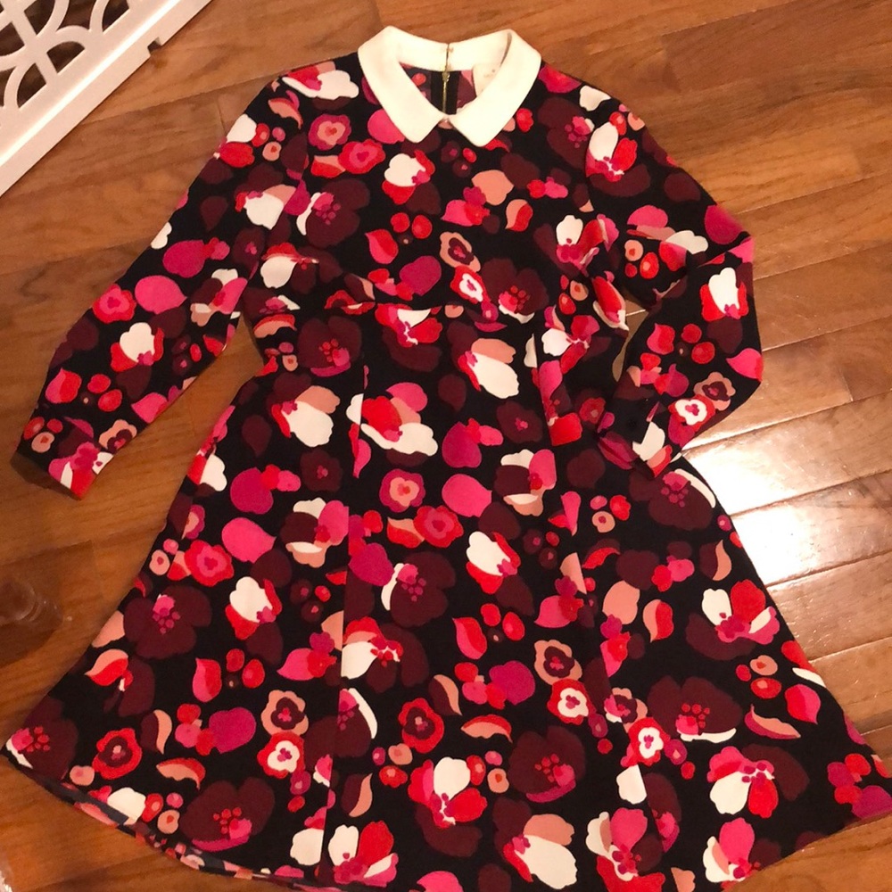 Kate Spade Red multi colored dress with Peter Pan Collar.